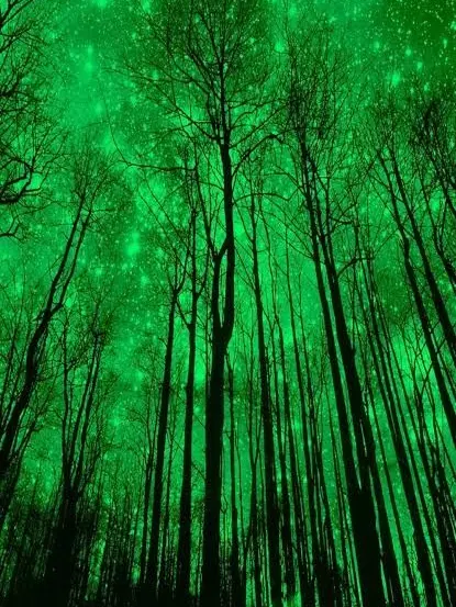 OpenGlaze7207의 ENFP-T