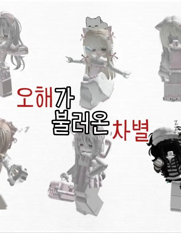 SheerLynx9182의 오해가 불러온 차별