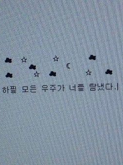 ﾟ+o｡◈｡o+ 대표 이미지