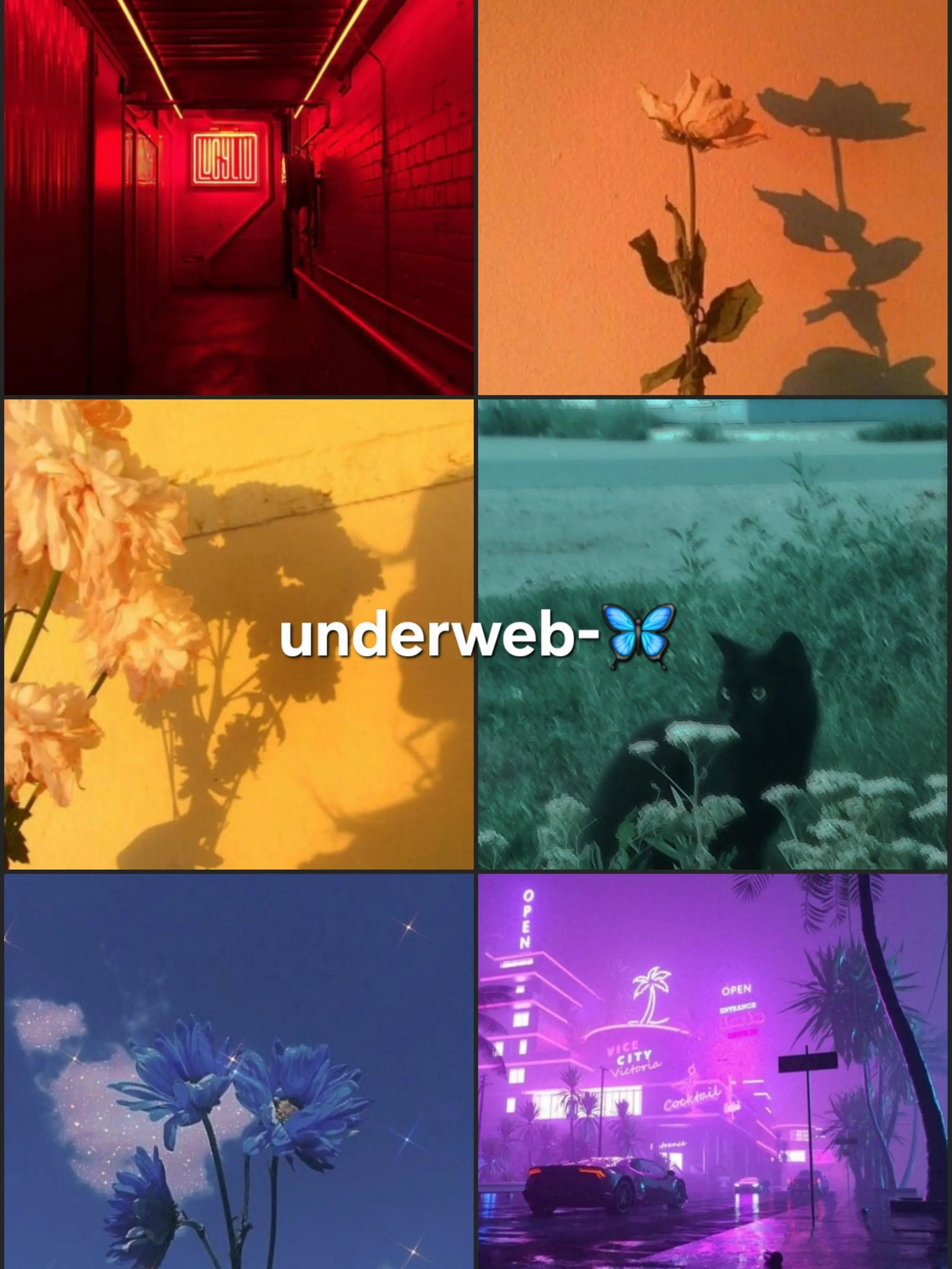 Lu_hyeon의 UNDERWEB-🦋