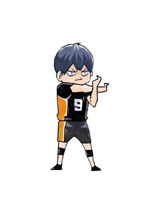 ハイキュー!!+여우 대표 이미지