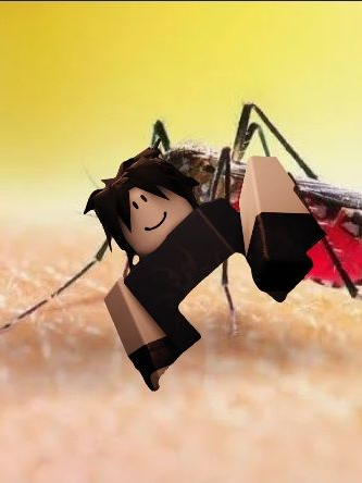 포세이큰 캠핑+여우 대표 이미지