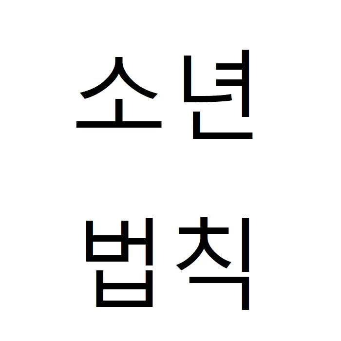 123123a의 소년법칙