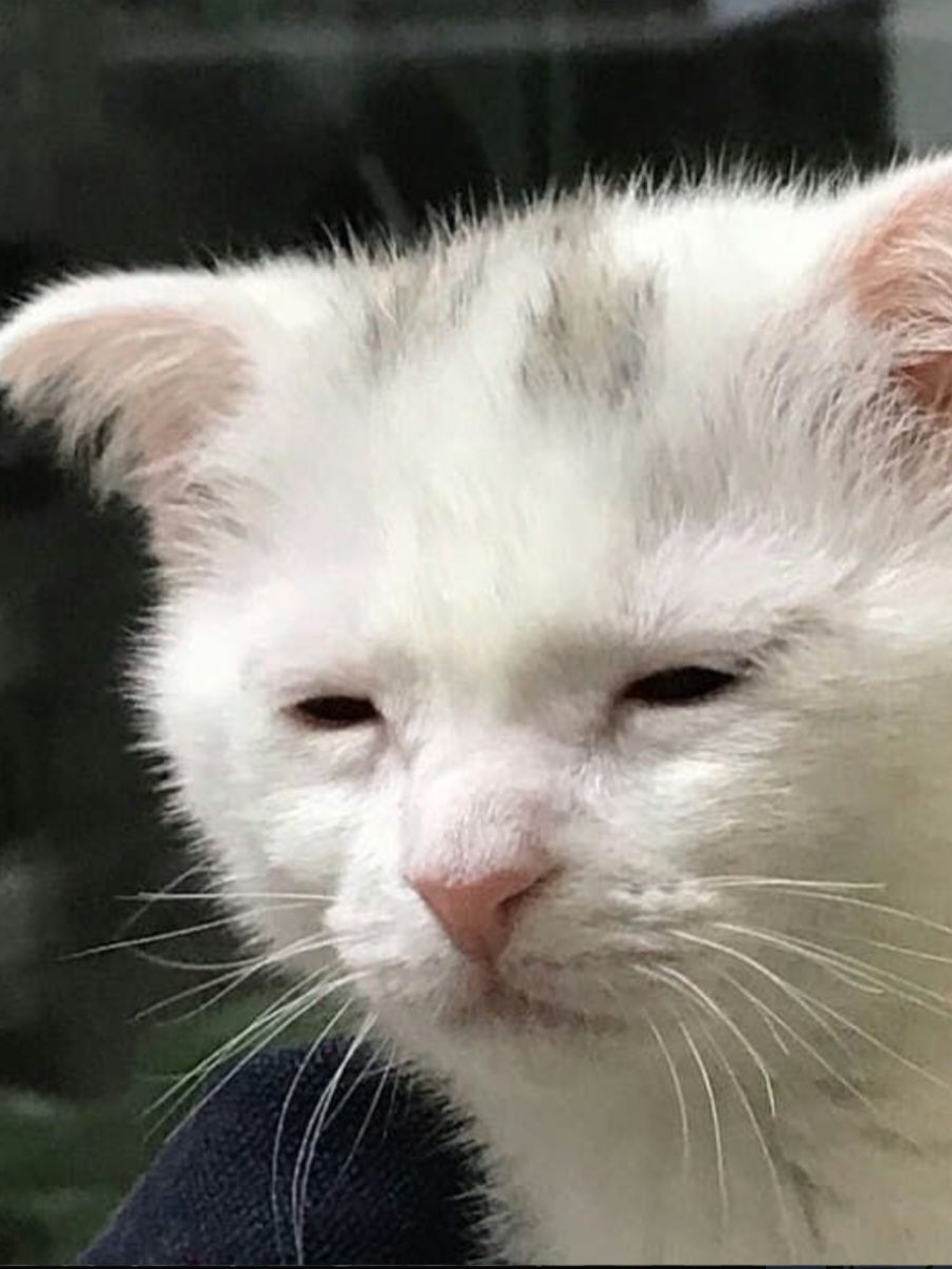 마음대로 대표 이미지