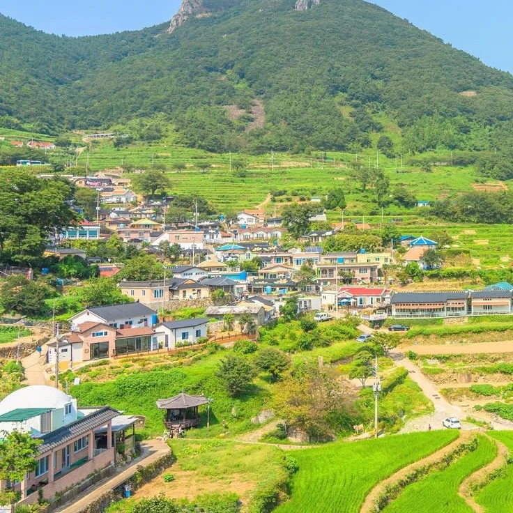 내년에는 못볼지도 모르겠네