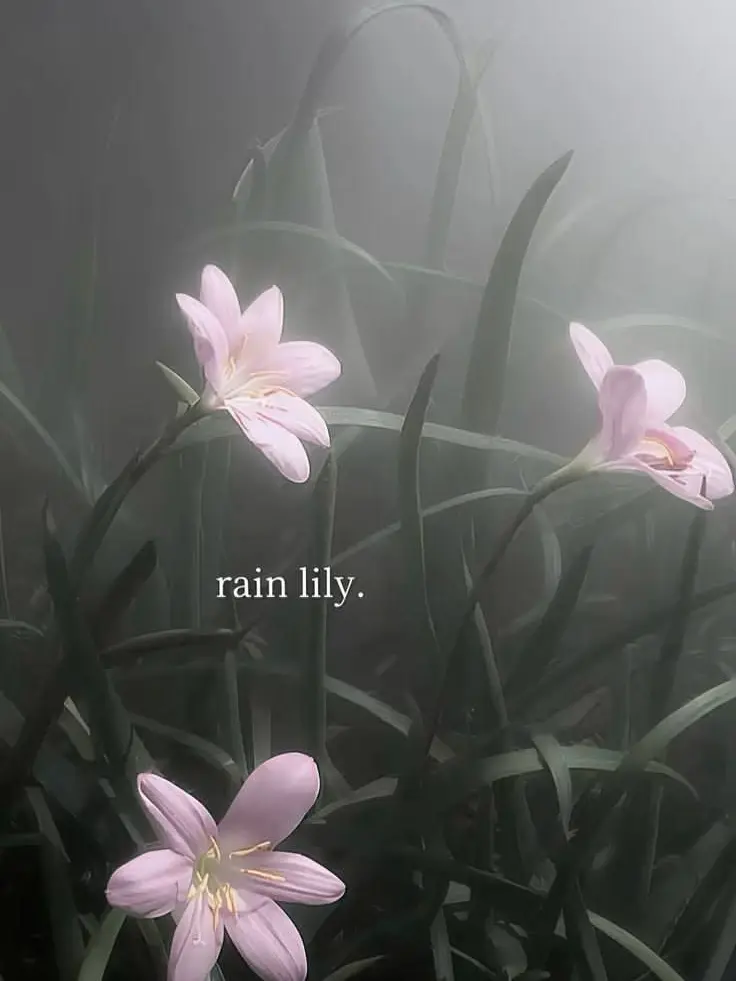 LOVDOVEEEEEYYY의 Okayyy