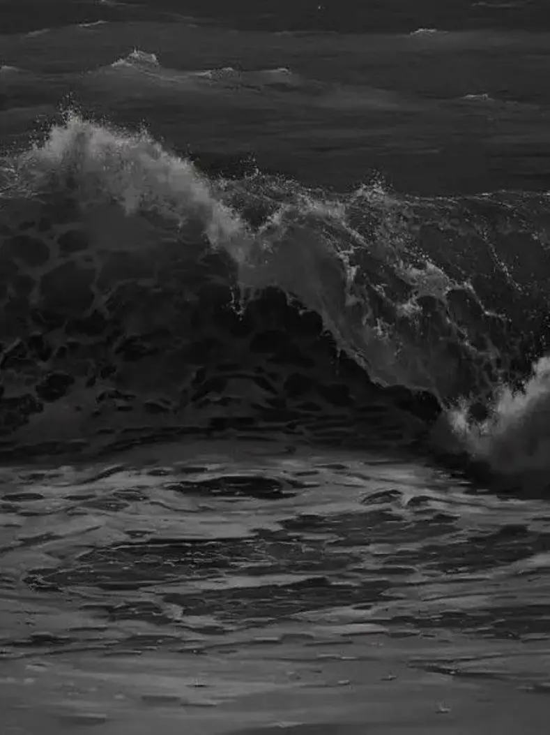 SpicyFinch7531의 🏖휴가를 받은 미수반🏖