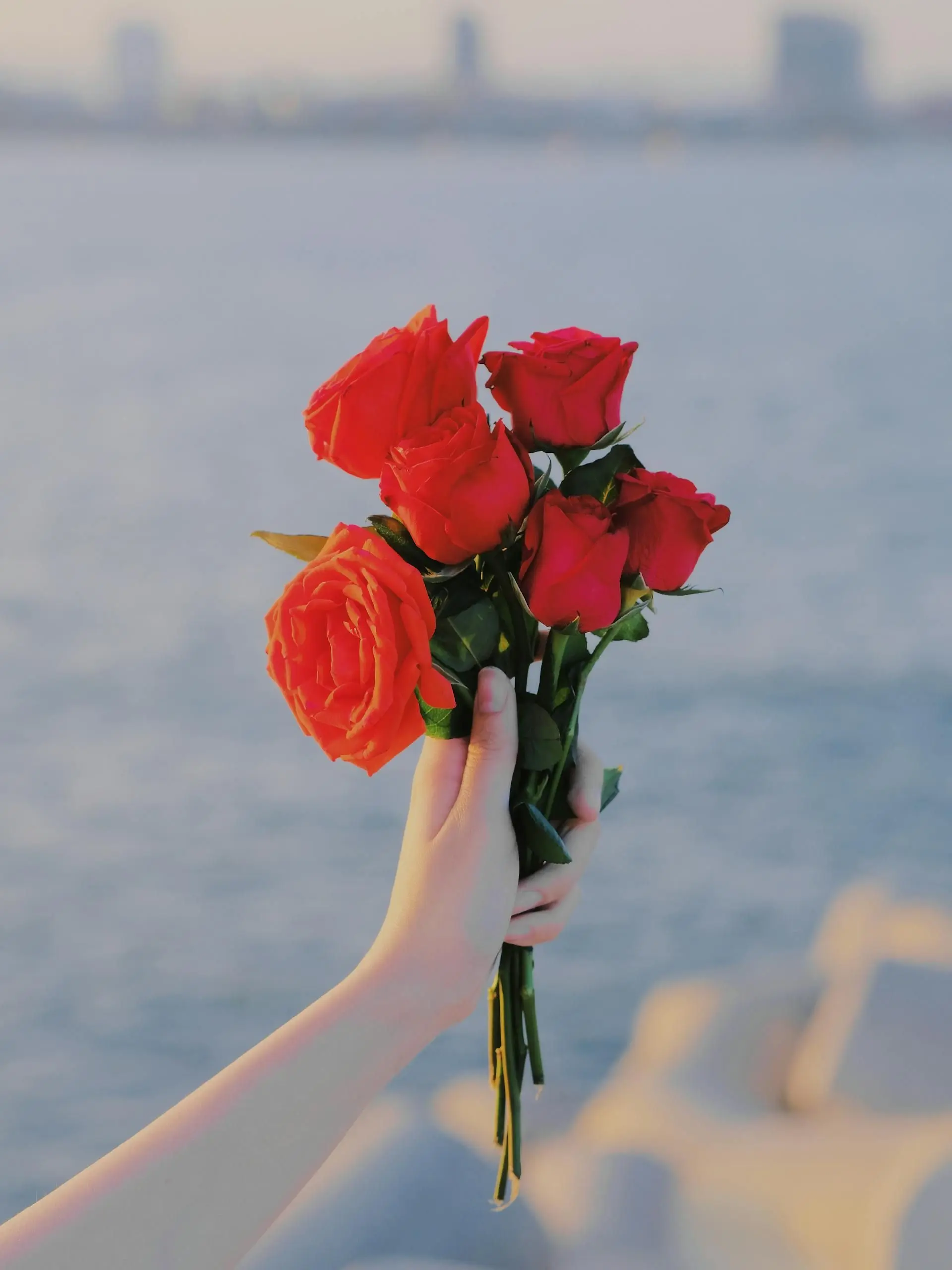 RoomyBrug4813의 신사적인 남자