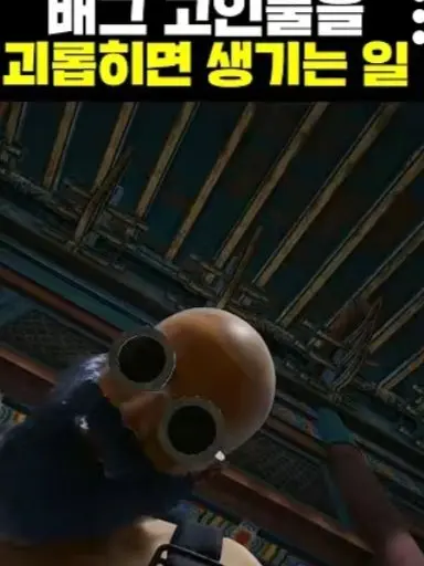 AptFlash2049의 주키니님과 여우의 동거..