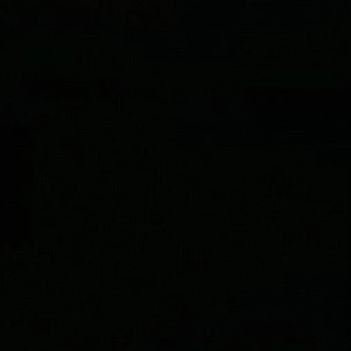 허중싱