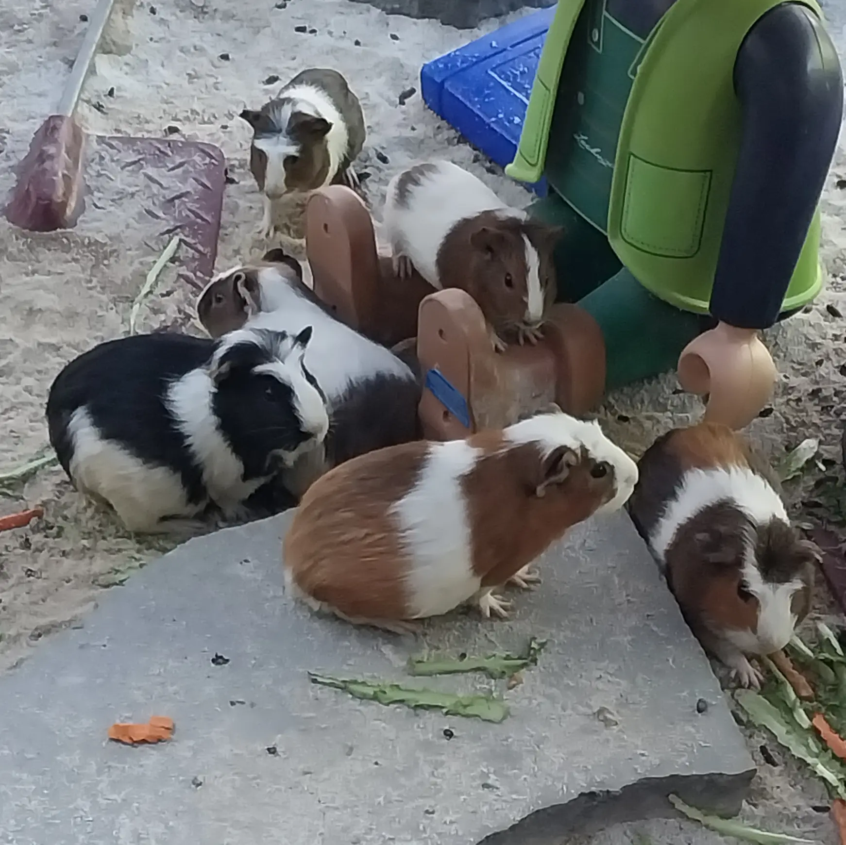 TAESAN_0417의 9명의 남주들