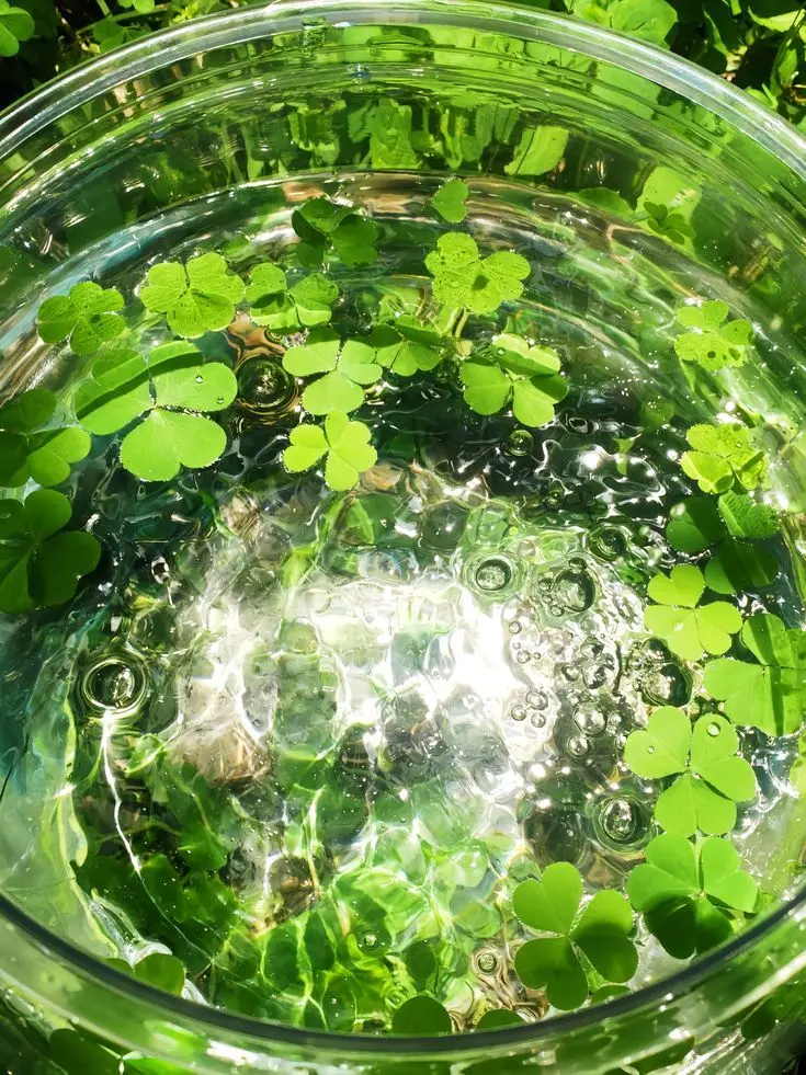 lneedlneedlneed의 0911