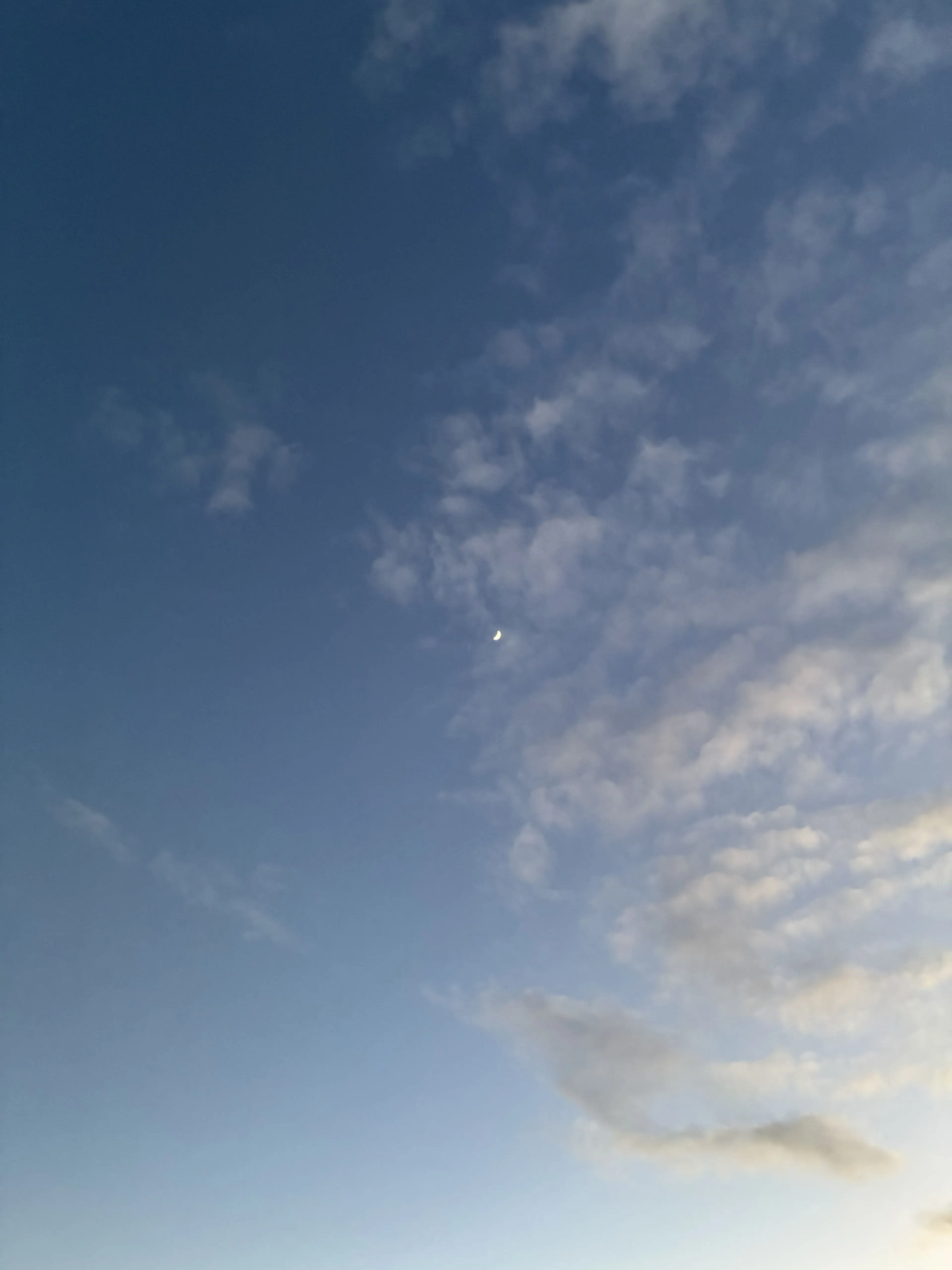 MutedScale7839의 いじめられっ子の秘密「実はね…。」