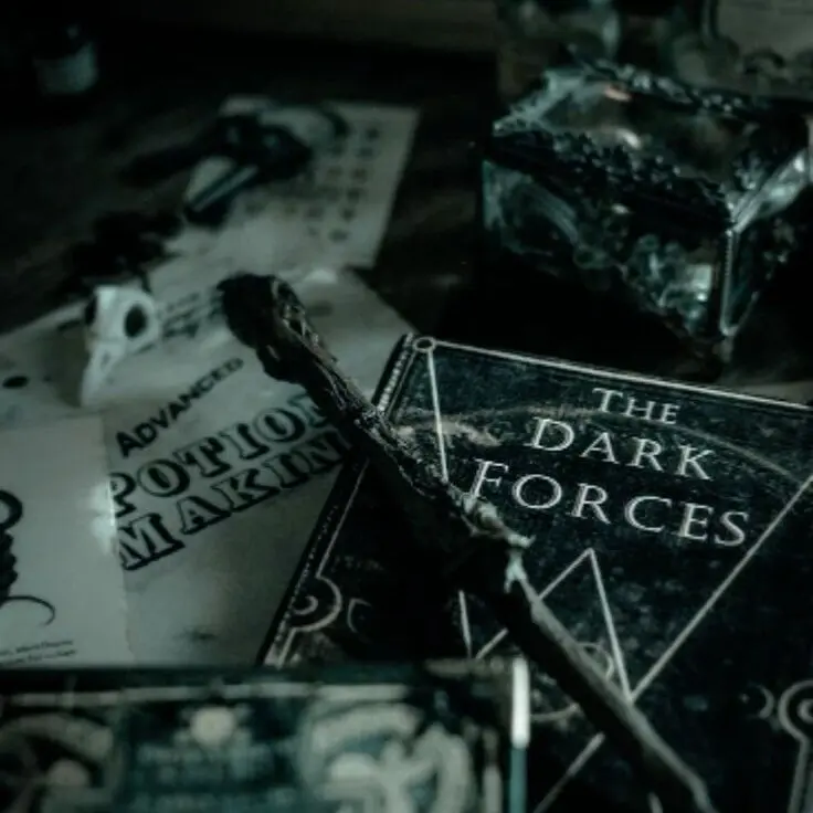 YummyStage1229의 Amelia Black