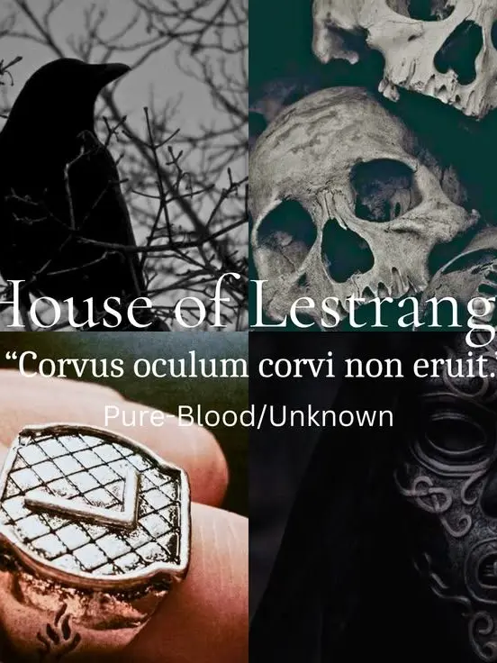 IDKBRO.의 Bellatrix son!