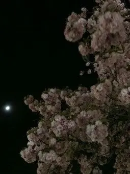 SAEBYEOK_saebyeok의 기리고 [ 일상물 ]