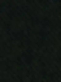 linarini의 스코시즘_마법 학교