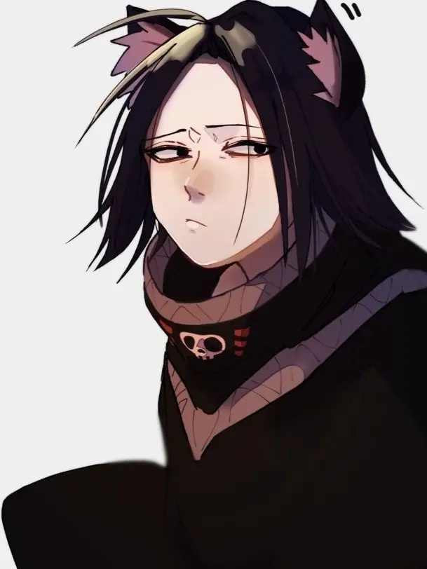 _ran1013의 フェイタン猫化