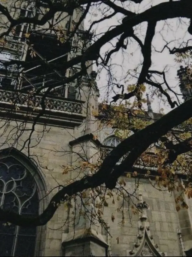 Iluvsammyncolbs의 The reincarnation of the marauders…?