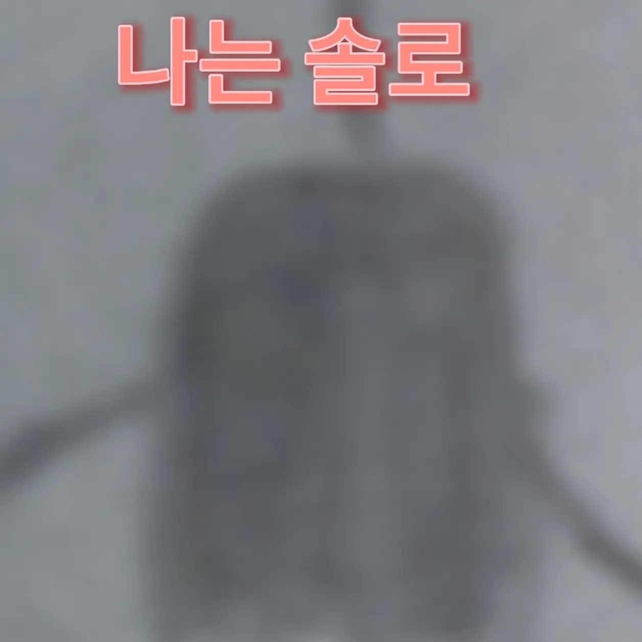 HkFl123의 釔林 그룹 +여우