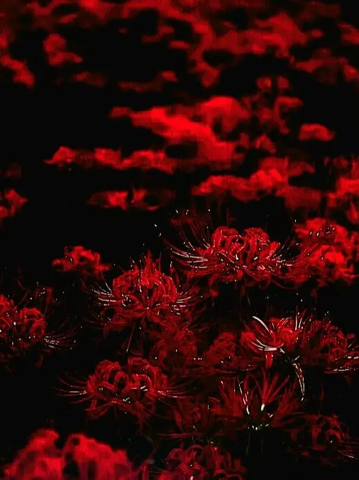 asella1006의 화요