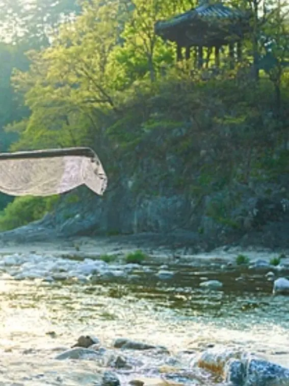 youwol의 병약 마플