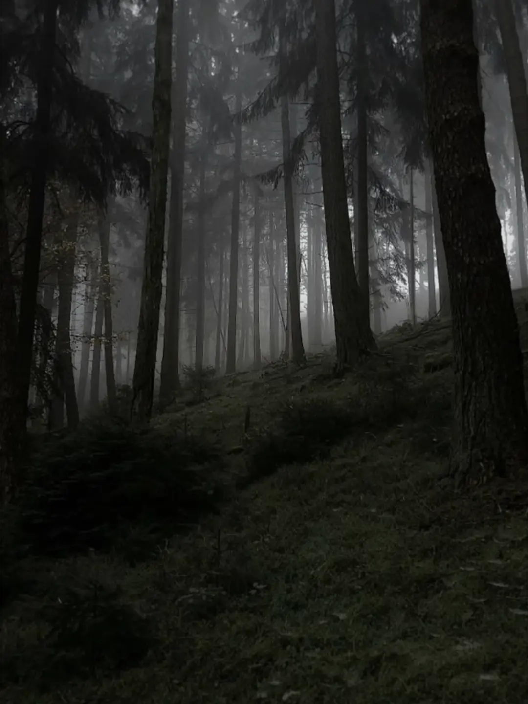 Straykidsfan101의 Stray kids vampires