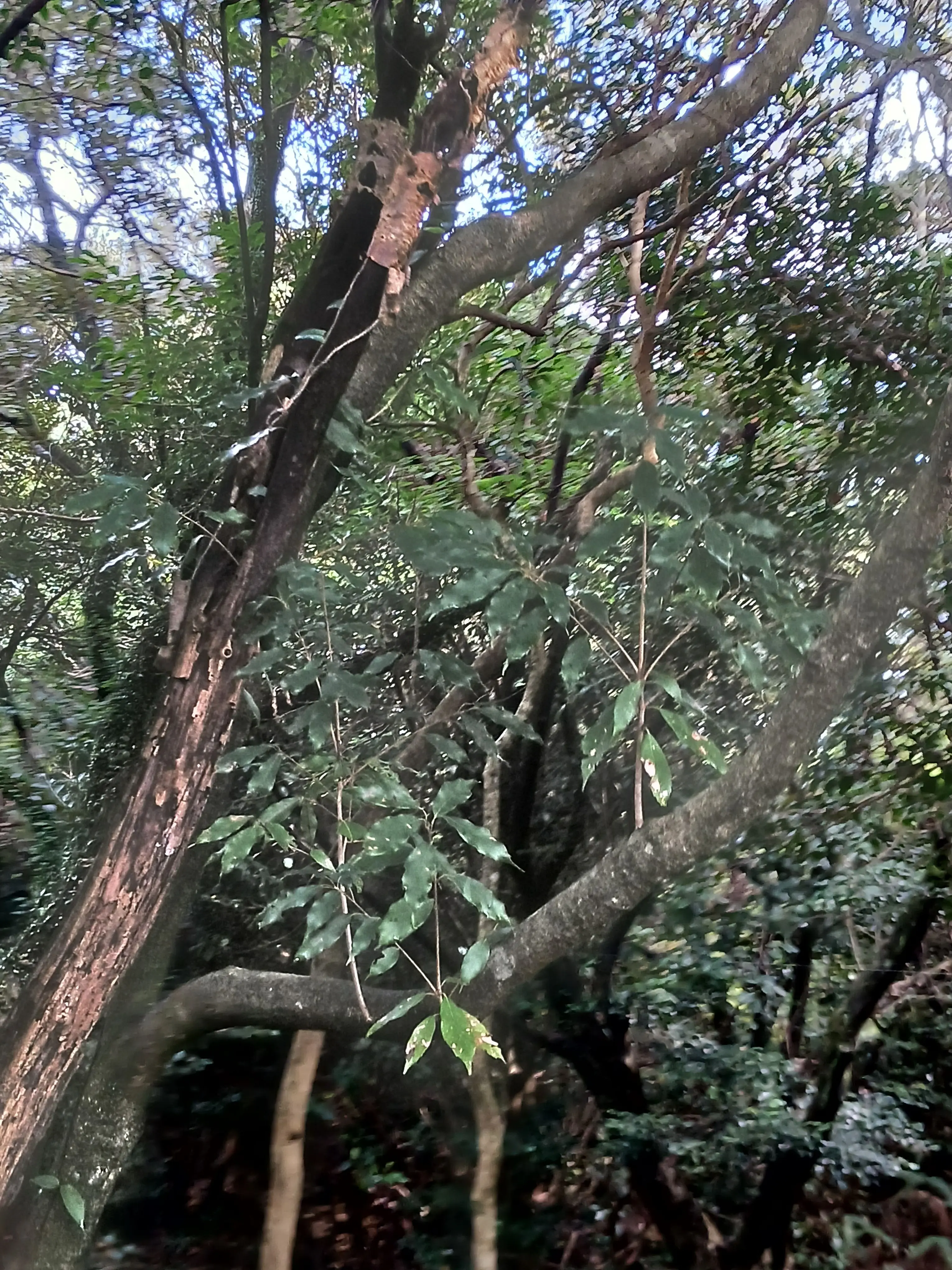 Fluffy_sunny의 주지 말라면 주지 마.