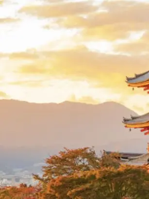 PointyHeron0540의 からぴちと修学旅行！