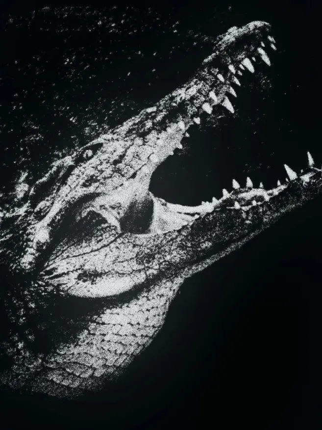 Dreamcoreinscreen의 𝕽𝖊𝖓𝖊𝖐𝖙𝖔𝖓