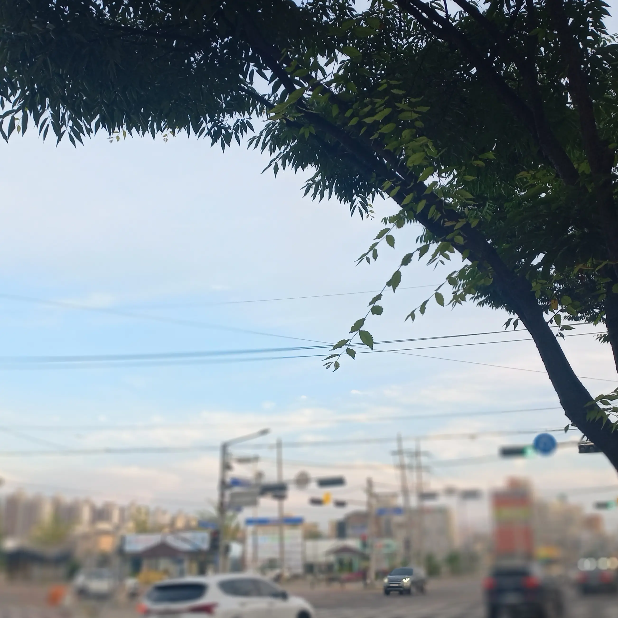 ScenicNose6165의 남자후궁 싸이코드