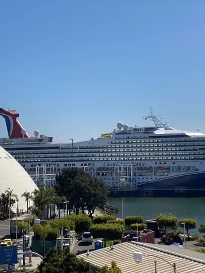AmoEmpool의 Mha-Cruise