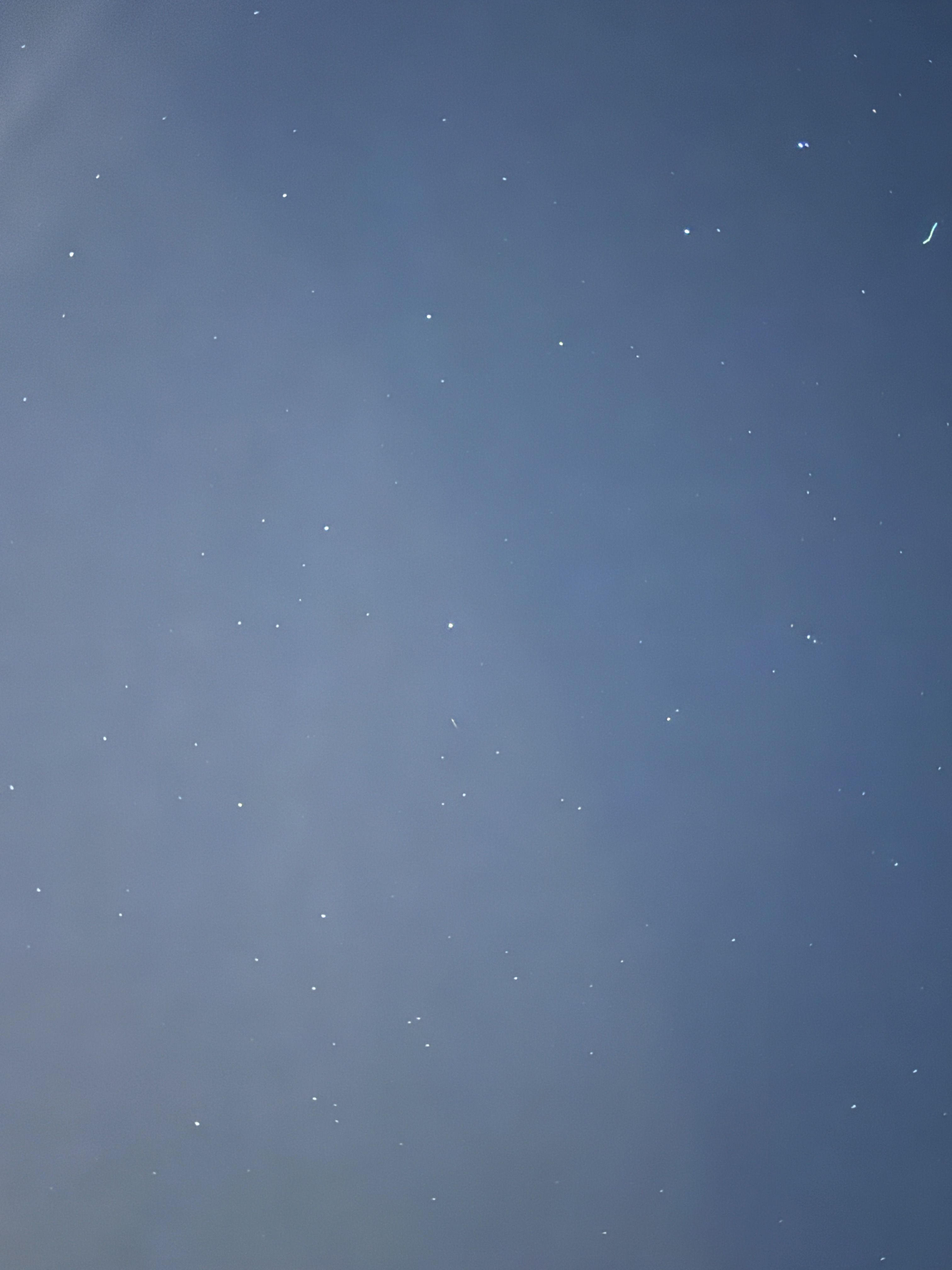 바니바니 대작전(DLC+) 대표 이미지