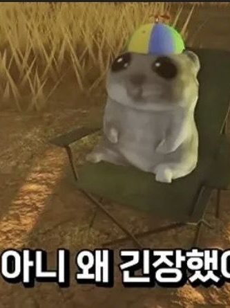 햄토리의 평화로운 게임 보이스챗 대표 이미지