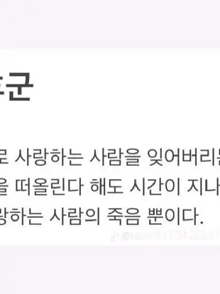 PlumShot2115의 망애 증후군