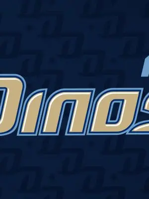 LIVFC의 NC Dinos