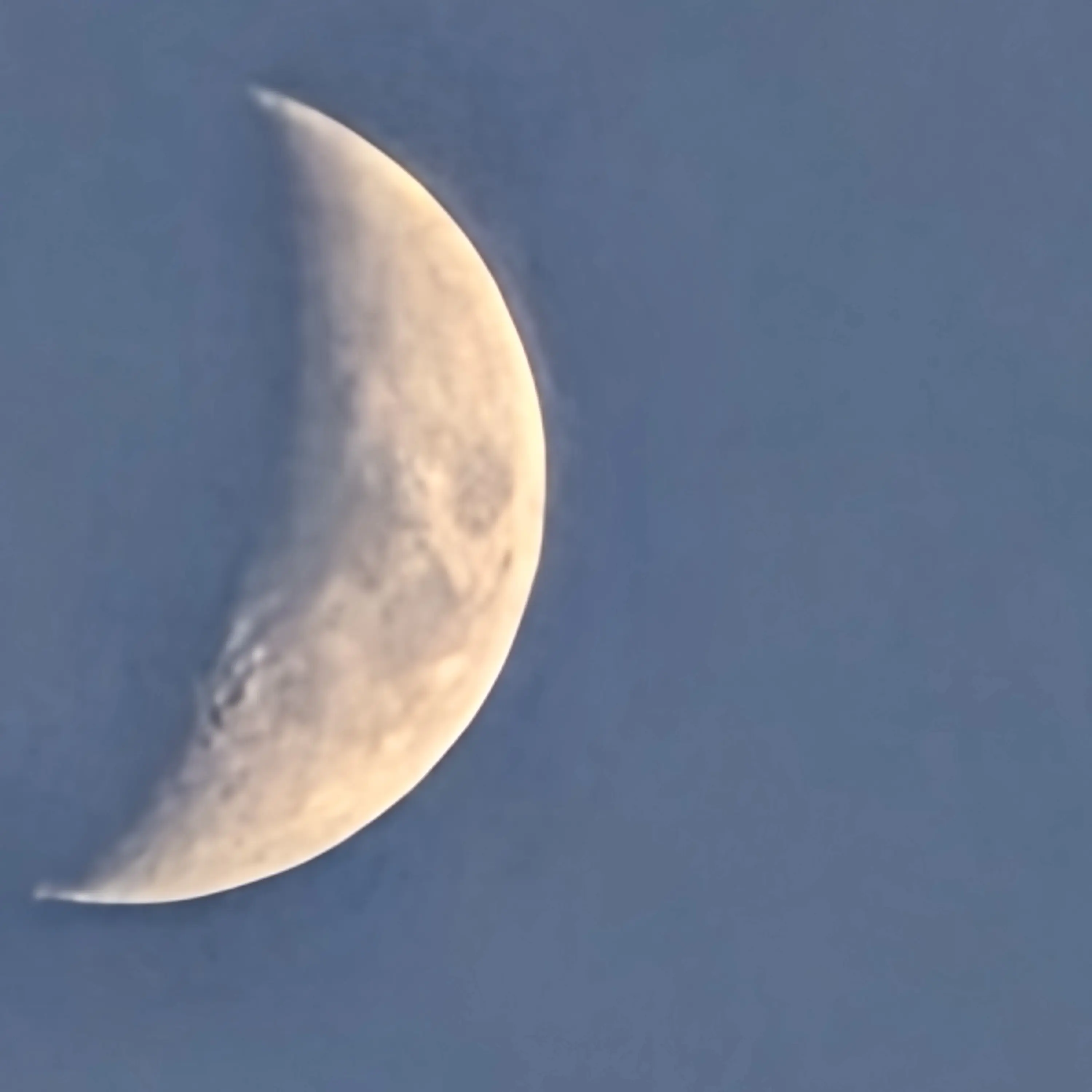 LooseLens1471의 진격거 역대 최최대 규모! (동거)