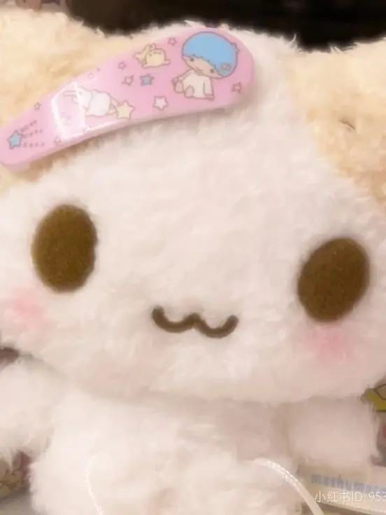 min9yu._.k의 アイドルとファンの関係