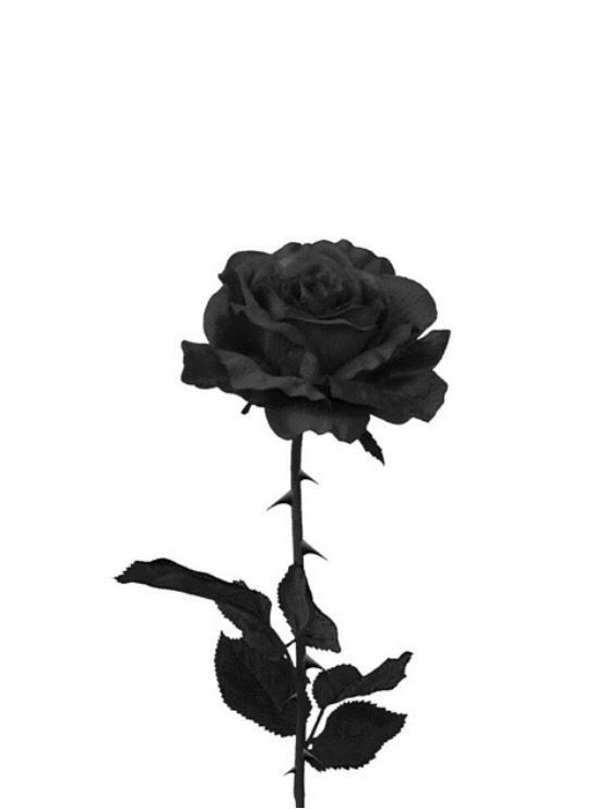 난 당신 맘에 들고 싶어요 대표 이미지