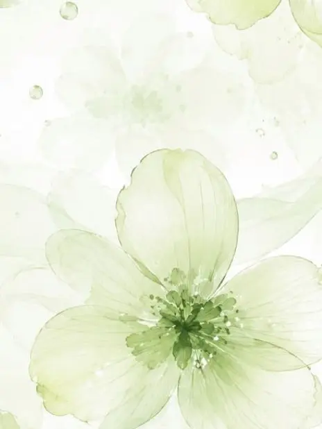 Relu_Coe._Love의 冷たい先輩ܸ☘︎ ݁˖.ᐣ ˚⋆