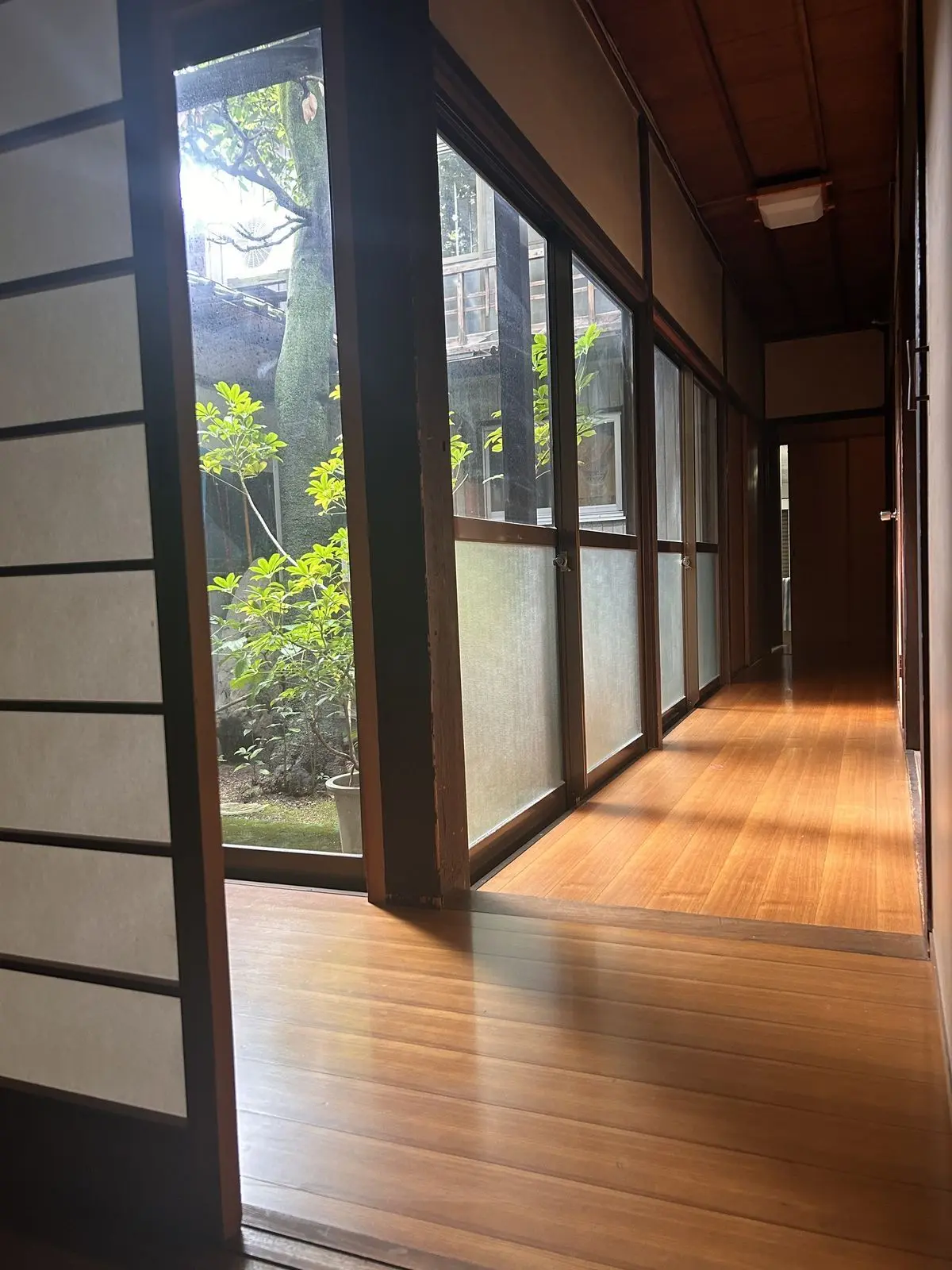 .....ux의 いとこ