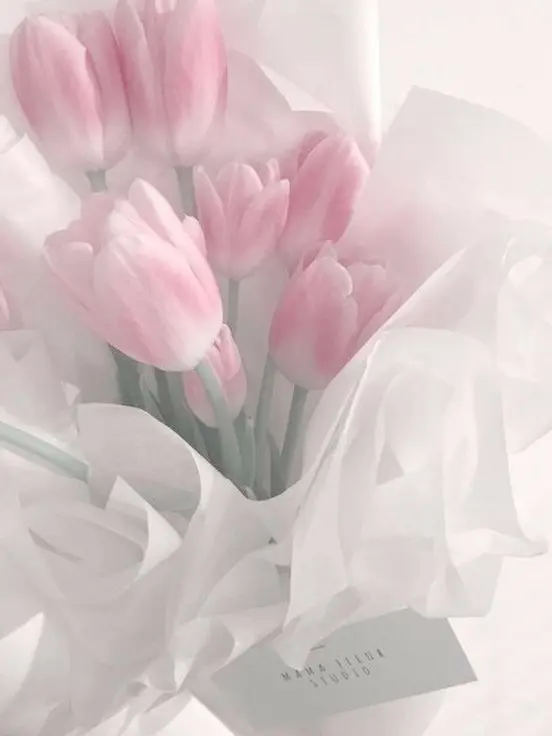 snow_.flower의 김일영