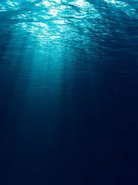 bla의 공룡이 아니지만 그리 불리는 존재들.