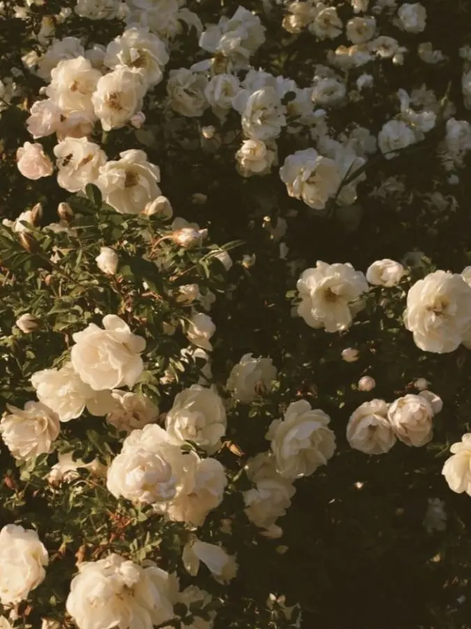 Itycode221의 정재현