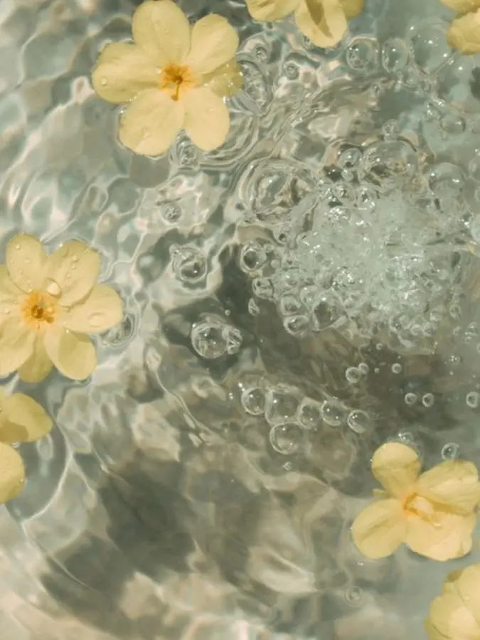 RancidTosa7121의 2p子