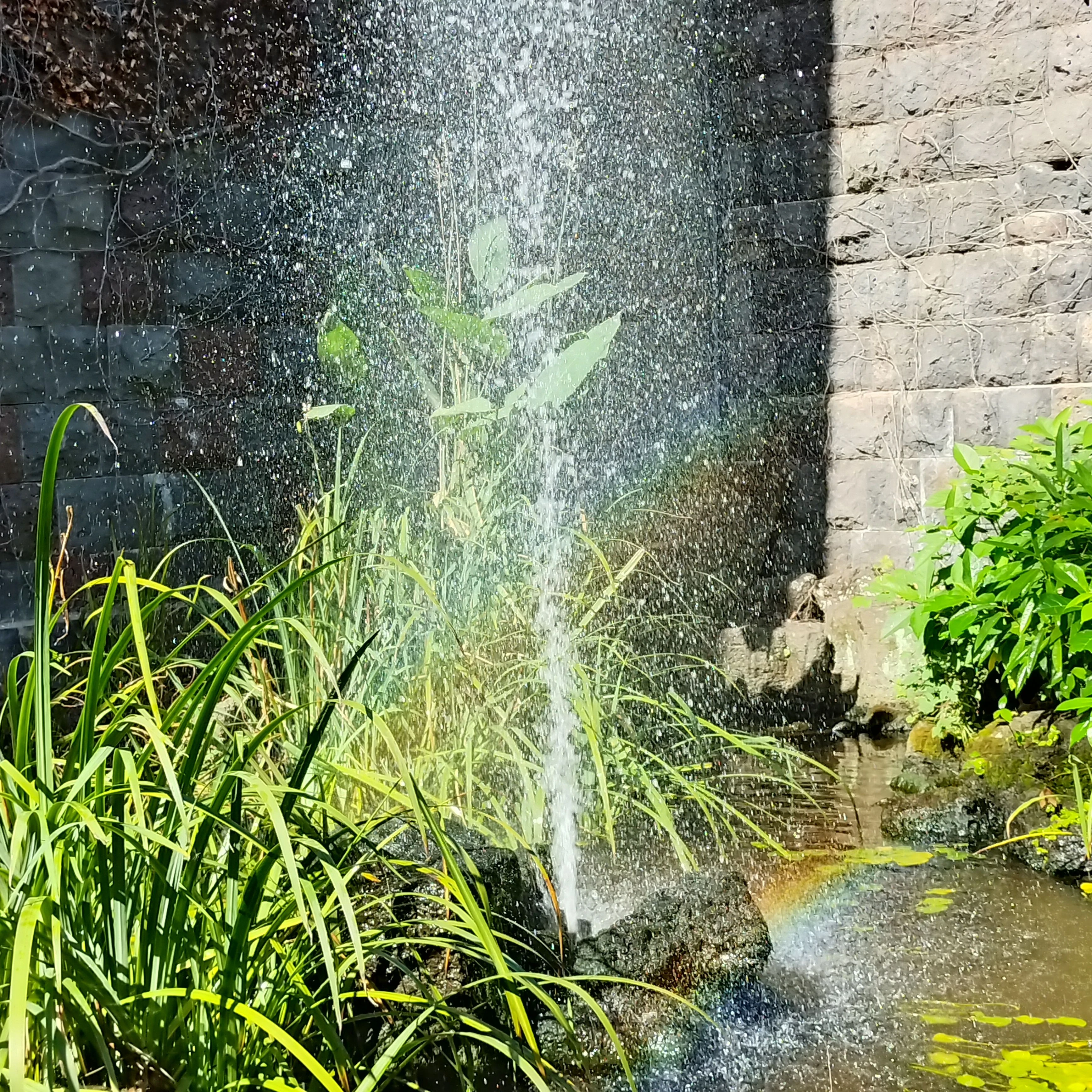 "시원한 선배님,"