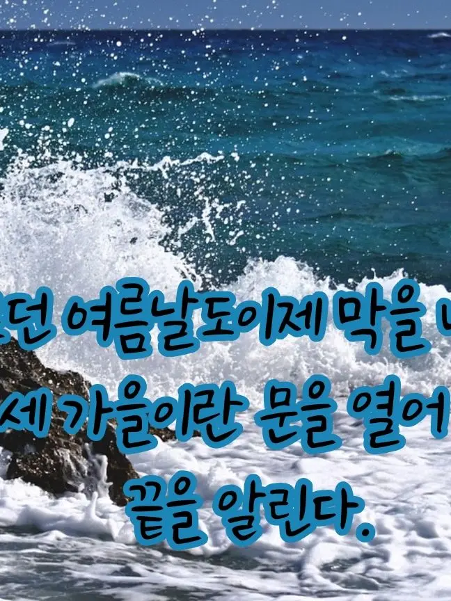 SunnyDodo5213의 동생이란 (스코시즘)