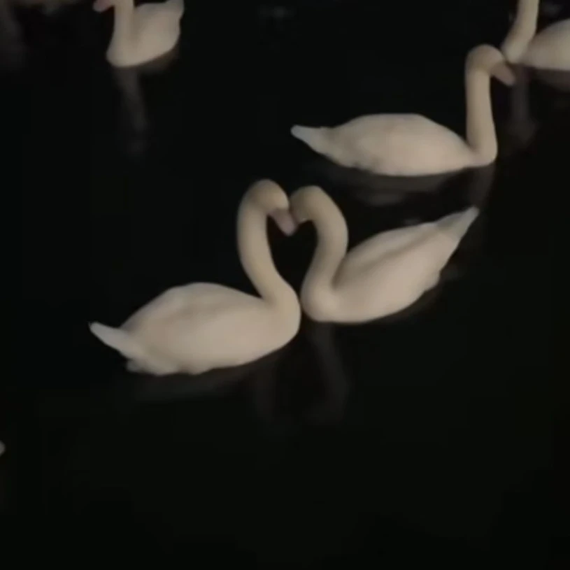 마에다 리쿠& 토쿠노 유우시