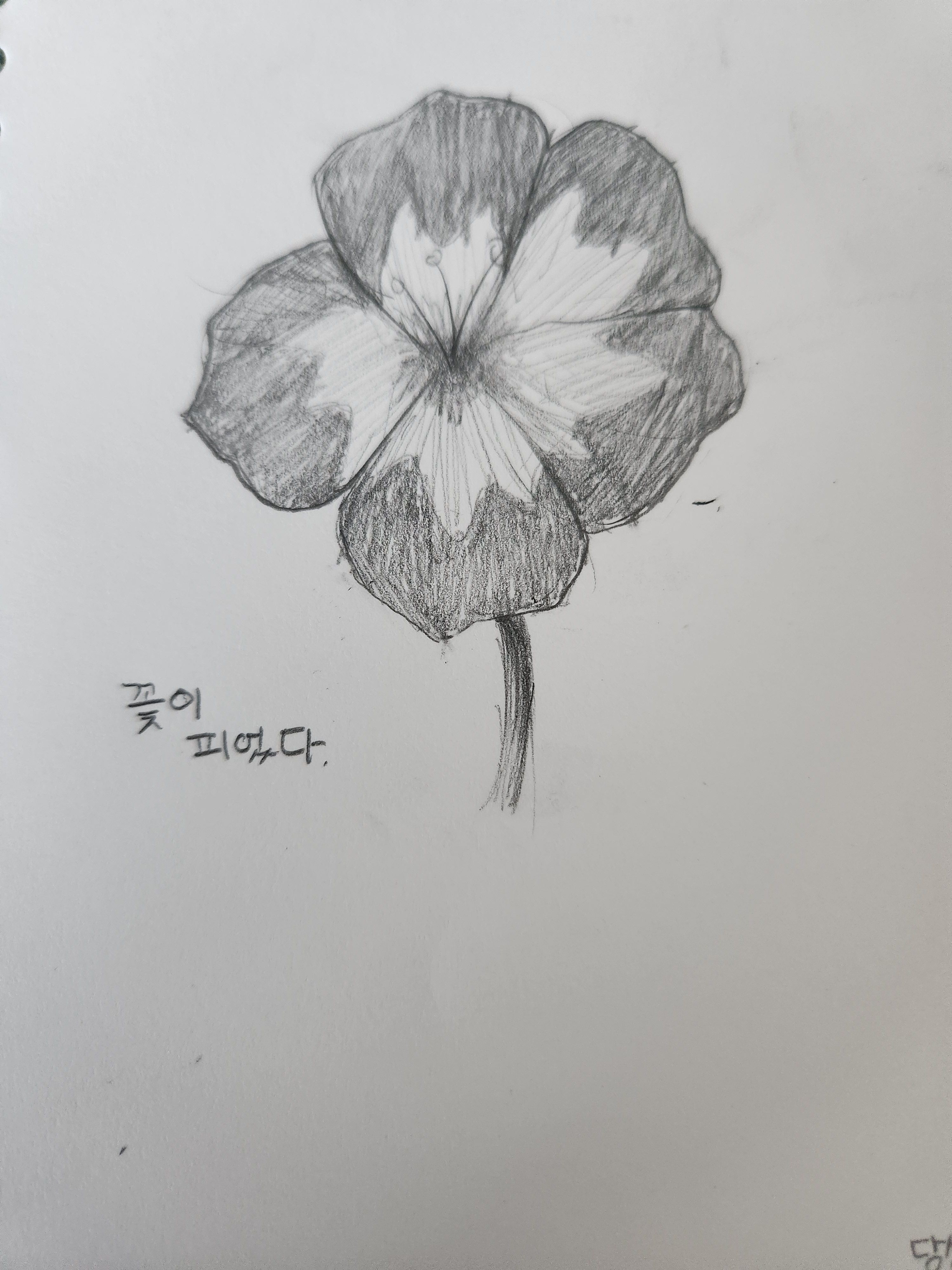 꽃이 피고 지듯이.. 대표 이미지