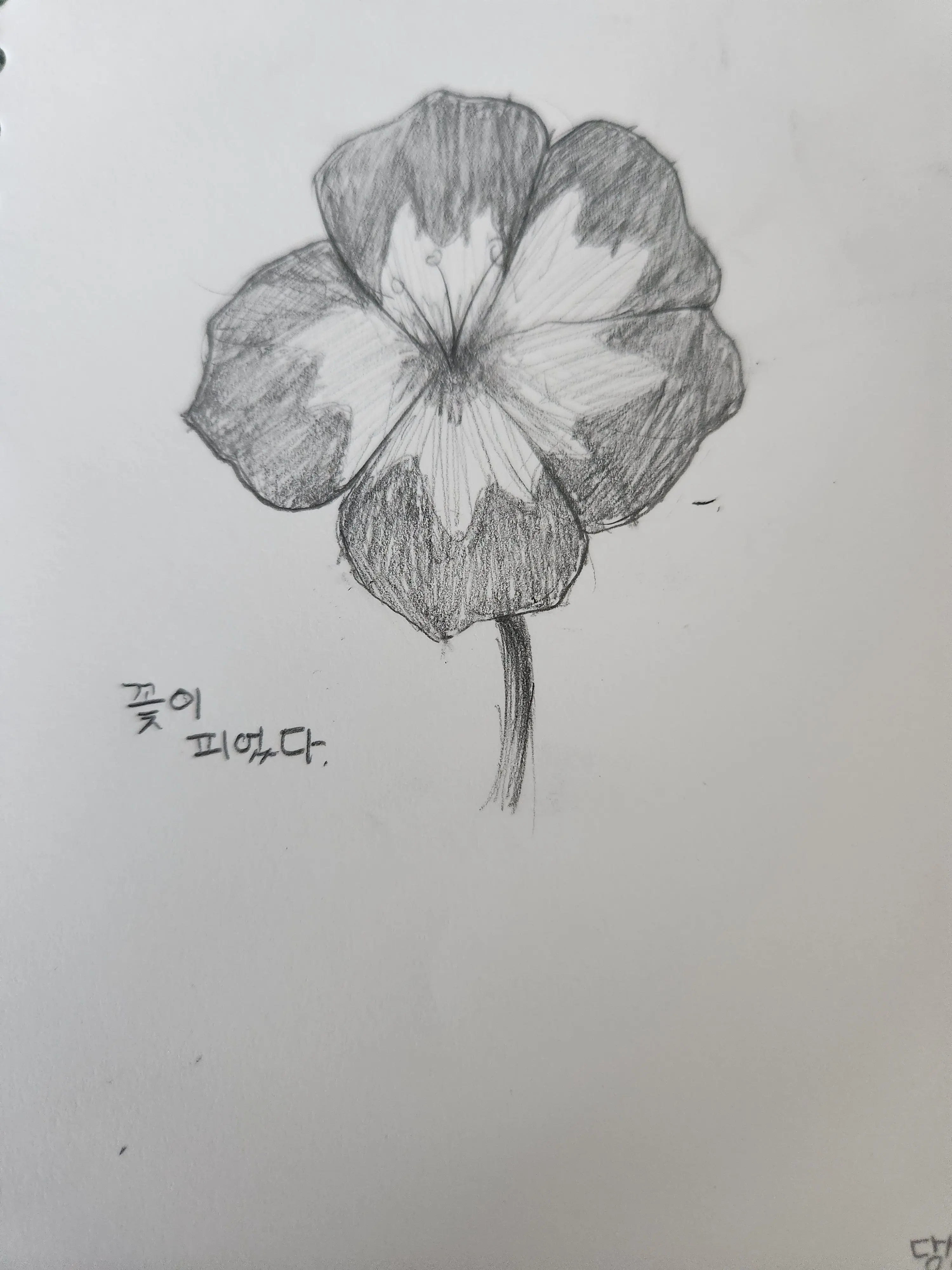 Xxxxxxxxxl의 꽃이 피고 지듯이..